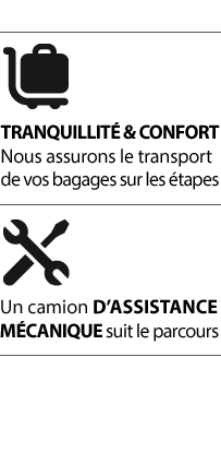 picto prestations assist meca transport bagages